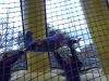 2002_Spring Fling_158